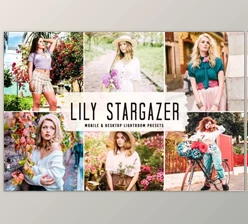 Download Lily Stargazer Pro Lightroom Presets 6515634 (Mob, Desk)