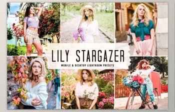 Download Lily Stargazer <span class='badge badge-warning'>Pro</span> <span class='badge badge-warning'>Lightroom</span> <span class='badge badge-warning'>Presets</span> 6515634 (Mob, Desk)