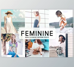 Download Feminine Pro Lightroom Presets 6481296 (Mob, Desk)