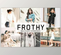 Download Frothy Pro Lightroom Presets 6481514 (Mob, Desk)