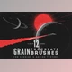 Download Procreate grain brushes - for iOS app (JPG)