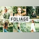 Download Foliage Pro Lightroom Presets 6481486 (Mob, Desk)