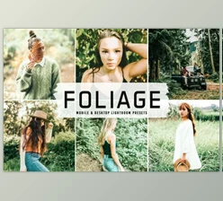 Download Foliage Pro Lightroom Presets 6481486 (Mob, Desk)