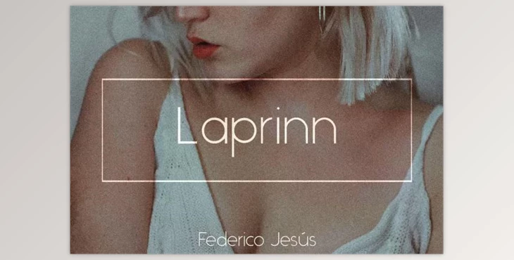 Download Laprinn Bundle – PS & LR Presets 6294664 (Mob, Desk)