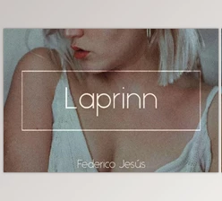 Download Laprinn Bundle – PS & LR Presets 6294664 (Mob, Desk)