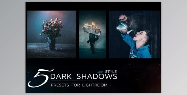 Download 5 Lightroom Presets in Dark Tones 1821528 (lrtemplate)