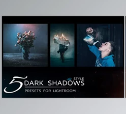 Download 5 Lightroom Presets in Dark Tones 1821528 (lrtemplate)