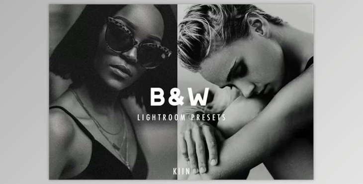 Download 10 B&w Lightroom Presets 6336888
