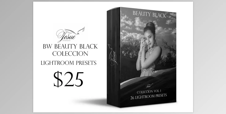 Download Beauty Black – Lightroom Presets 1756910 (lrtemplate)