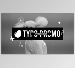 Download Typo Promo (Videohive 34092181)