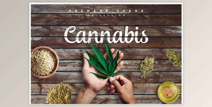 Download Cannabis Scene Creator #01