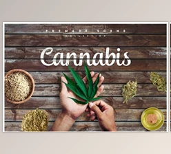 Download Cannabis Scene Creator #01