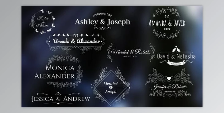 Download Wedding/Romantic Titles (Videohive 34029074)