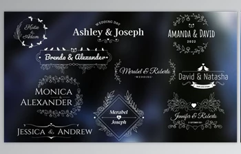 Download Wedding/Romantic <span class='badge badge-warning'>Titles</span> (<span class='badge badge-warning'>Videohive</span> 34029074)