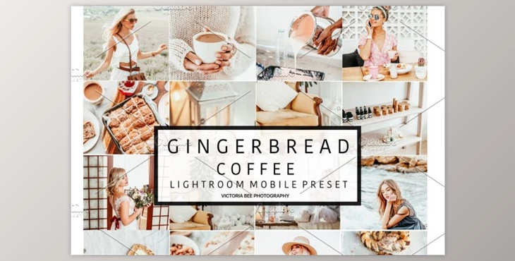 Download 3 Mobile Presets GINGERBREAD