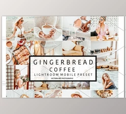 Download 3 Mobile Presets GINGERBREAD