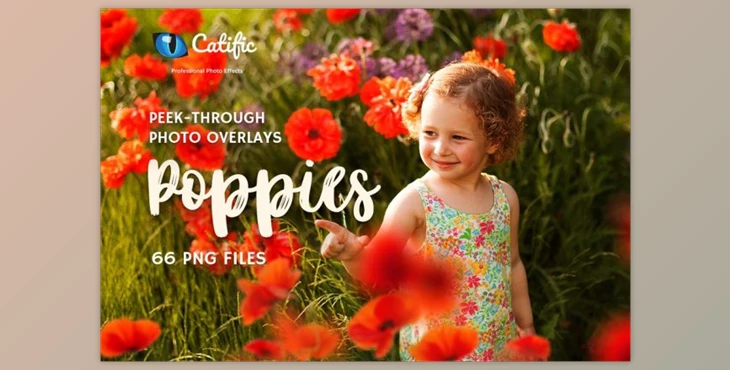 Download 17 Poppie Flowers Photo Overlays CreativeMarket 3019394