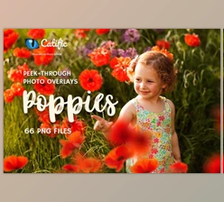 Download 17 Poppie Flowers Photo Overlays CreativeMarket 3019394