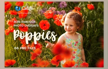 Download 17 <span class='badge badge-warning'>Poppie</span> Flowers Photo Overlays CreativeMarket 3019394
