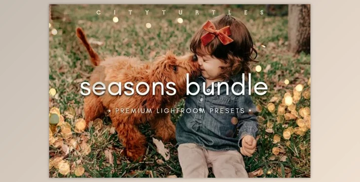 Download THE SEASONS BUNDLE Lightroom Presets 6565571