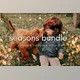 Download THE SEASONS BUNDLE Lightroom Presets 6565571