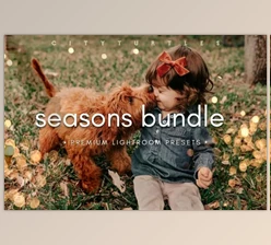 Download THE SEASONS BUNDLE Lightroom Presets 6565571