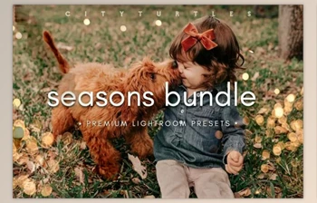 Download THE SEASONS <span class='badge badge-warning'>BUNDLE</span> Lightroom Presets 6565571