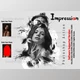 Download Impression Photoshop Action CreativeMarket-6545186 (ATN)