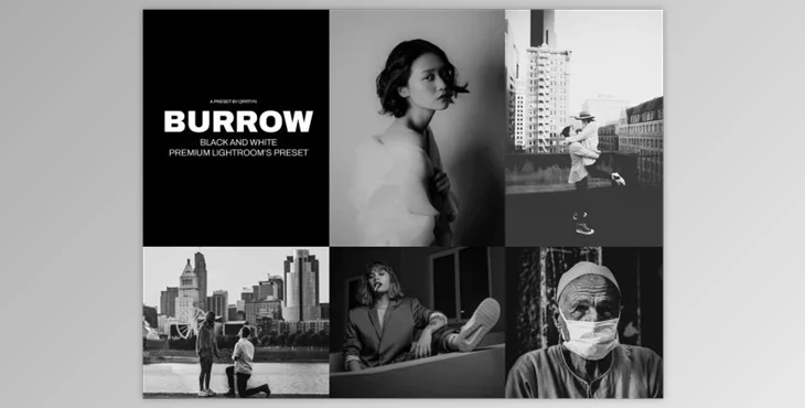 Download Burrow Lightroom’s Presets