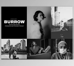 Download Burrow Lightroom’s Presets