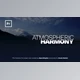 Download The Future | Animated Titles for Premiere Pro (Videohive 33945952)