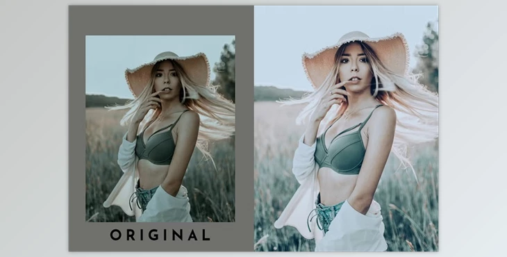 Download VSCO A5 Lightroom Presets Pack