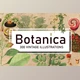 Download 300 Vintage Botanical Illustrations (JPG)