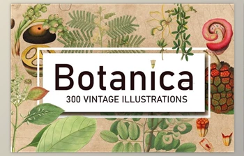 Download 300 Vintage Botanical Illustrations (<span class='badge badge-warning'>JPG</span>)