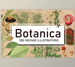 Download 300 Vintage Botanical Illustrations (JPG)