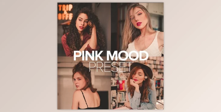 Download Luizclas – Pink Mood Preset (Mob, Desk)