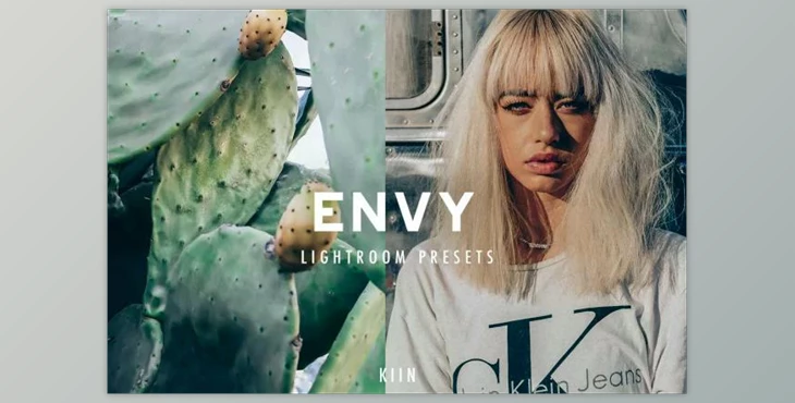 Download 7 ENVY LIGHTROOM PRESETS 6450078