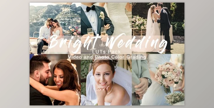 Download BRIGHT WEDDING – LUTs Pack