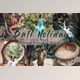 Download BALI HOLIDAY – LUTs Pack (cube)