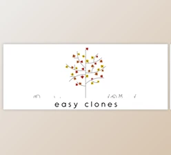 Download Aescripts – Easy Clones 1.1 for After Effects