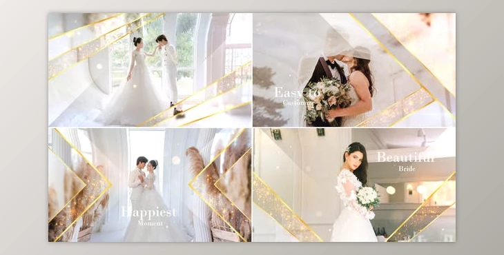 Download Elegant Particle Wedding Slideshow (Videohive 31687220) - AE Project