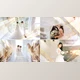 Download Elegant Particle Wedding Slideshow (Videohive 31687220) - AE Project