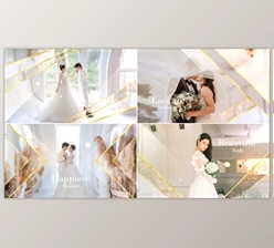 Download Elegant Particle Wedding Slideshow (Videohive 31687220) - AE Project