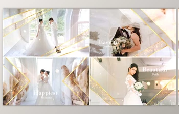 Download Elegant Particle <span class='badge badge-warning'>Wedding</span> <span class='badge badge-warning'>Slideshow</span> (<span class='badge badge-warning'>Videohive</span> 31687220) - AE <span class='badge badge-warning'>Project</span>