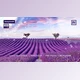 Download Photo Slideshow Template (Videohive 34212364) - PR Project