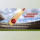 Download Cricket Opener (Videohive 34356196) - AE Project