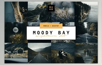 Download Moody Bay – <span class='badge badge-warning'>4</span> Pro Lightroom Presets (Mob, Desk)