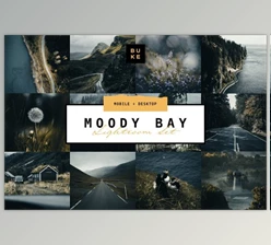Download Moody Bay – 4 Pro Lightroom Presets (Mob, Desk)