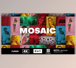 Download Mosaic Fast Intro (Videohive 30930486) - AE Project