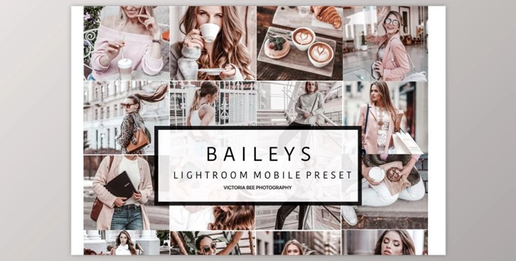 Download NEW! Mobile Lightroom Preset BAILEYS (DNG, JPG)